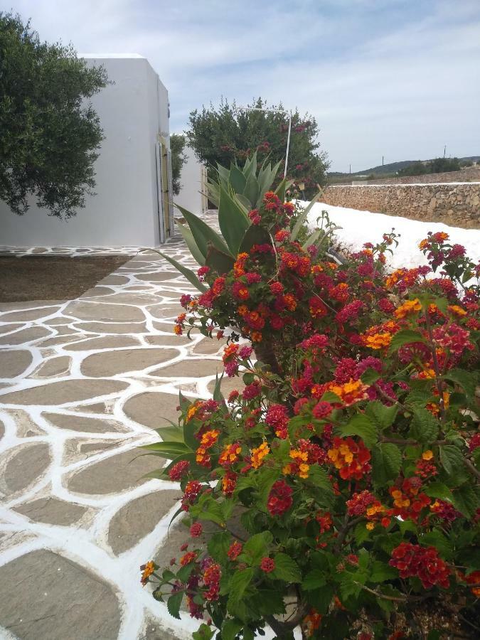 Galaxy Apartments Αλυκή Εξωτερικό φωτογραφία